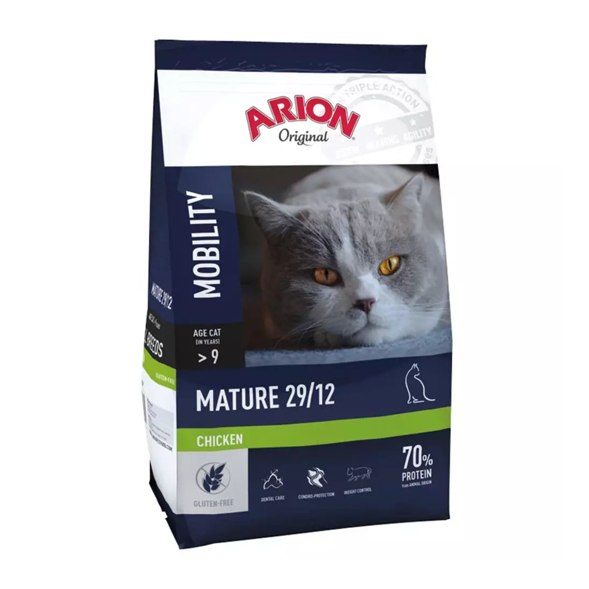 4.arion-gato-mature-mobility
